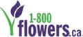 1800Flowers Canada