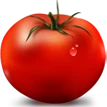 Bestjuicytomatoes