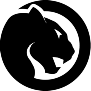 Blackpanthersystem