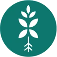 Bloombox Club