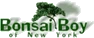 Bonsai Boy of New York