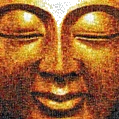 Buddha Power Store