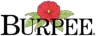 Burpee