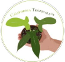 California-Tropicals