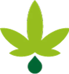 Cbd-Balance