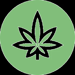 Cbdbuds