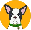 CBD Dog Health