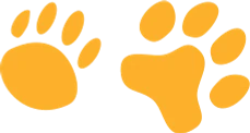EntirelyPets