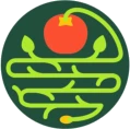 Evolve Chef