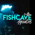 Fishcave Aquatics