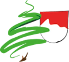 Frankenbrennstoffe