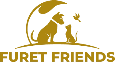 Furet Friends