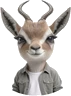 Fynla