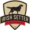 Irish Setter