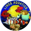 Lincs Aquatics