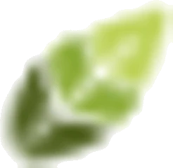 Natura-Punto