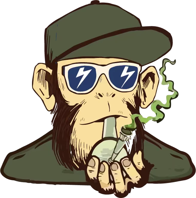Bongaily Online Headshop Store