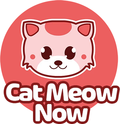 Cat Meow Now