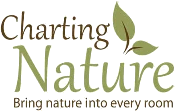 Charting Nature