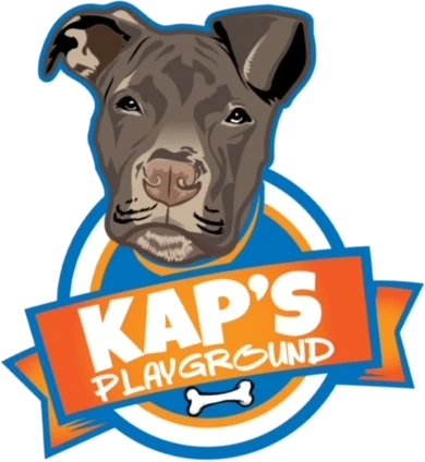 Kaps Playground