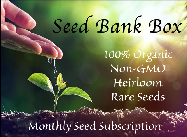 Seedbankbox