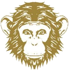 Omneky