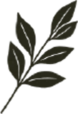 Pathraya
