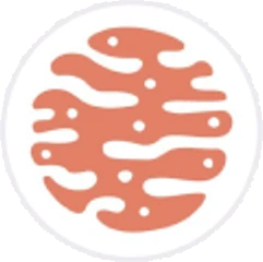 Performaroo-Test