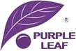 Purple Leaf