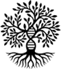 Scantifix