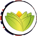 The Ayurveda Experience