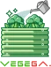 Vegega