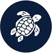 Vilebrequin