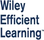 Wiley Efficient Learning