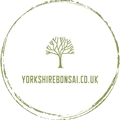 Yorkshire Bonsai