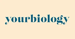 Yourbiology