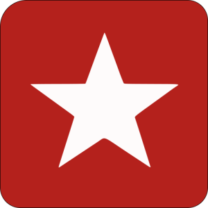 Bourginishop
