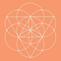 Conscious Items