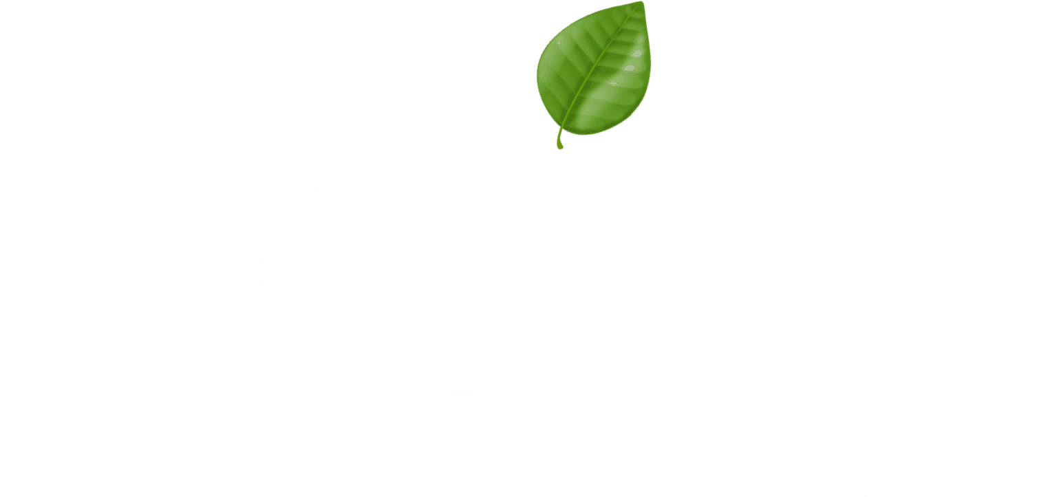 Edify