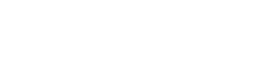 Flsnt