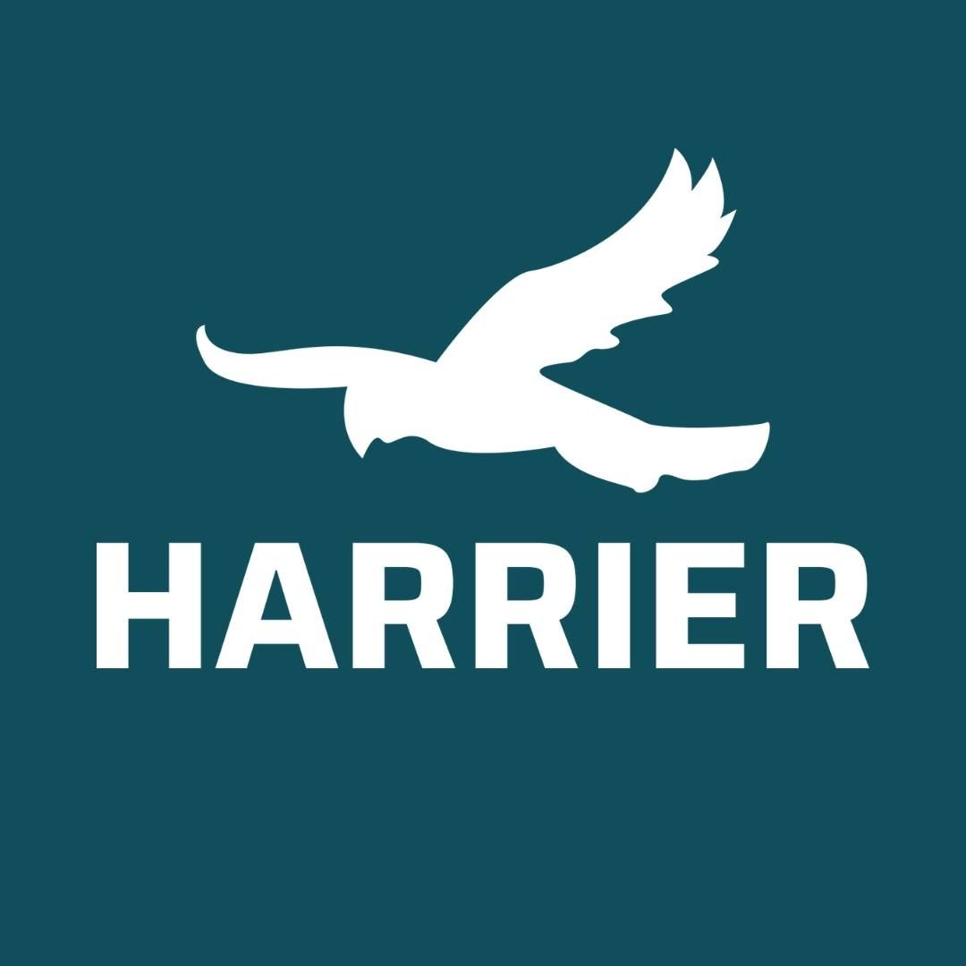 Harrier Run Free