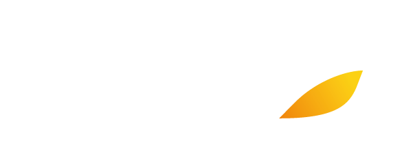 Iberia Express