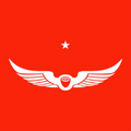Intelligentsia
