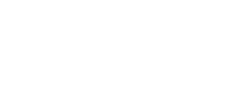 fLASH Cosmetics