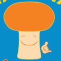Malama Mushrooms