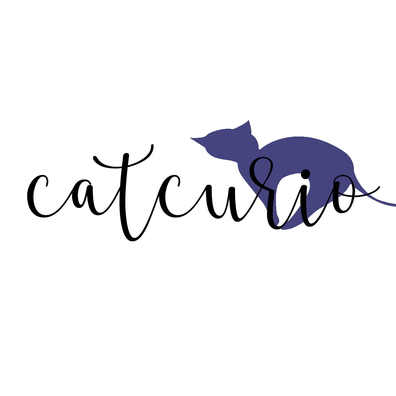CatCurio Pet Store