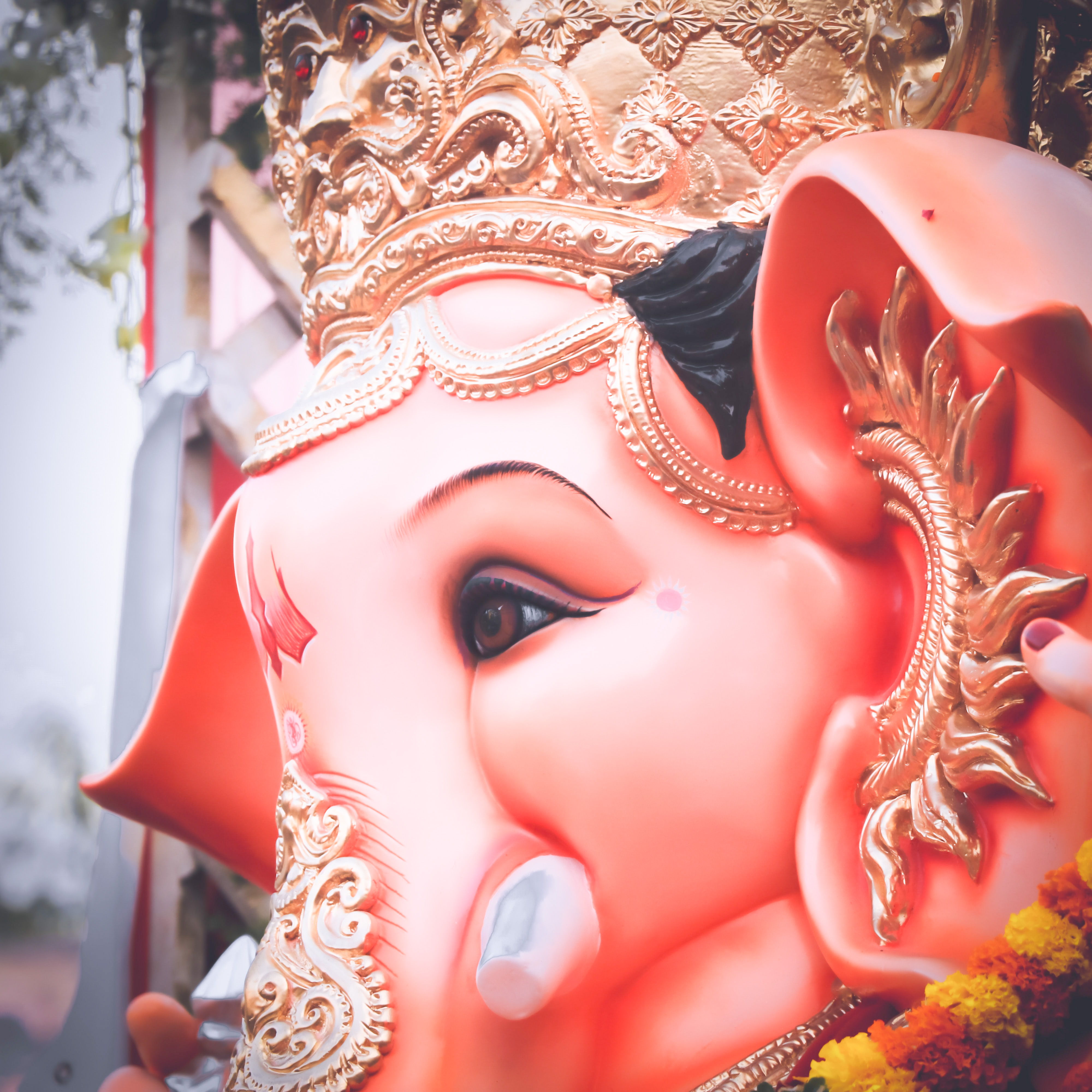 Ganesha's Market