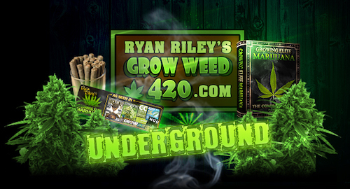 Ryan Riley's Elite Garden