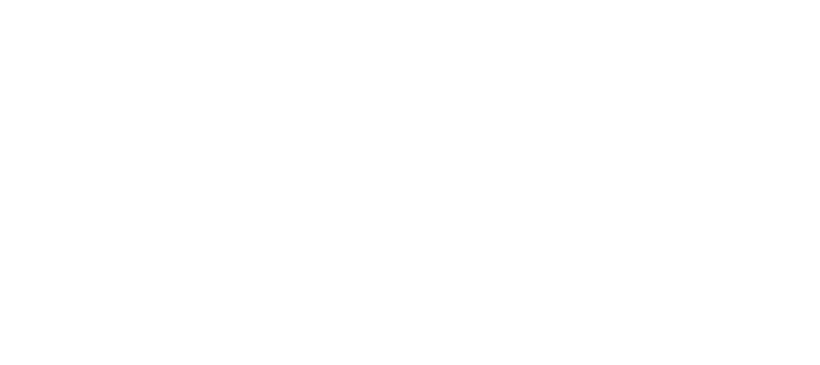P448