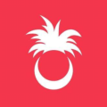 Palmy Pineapple